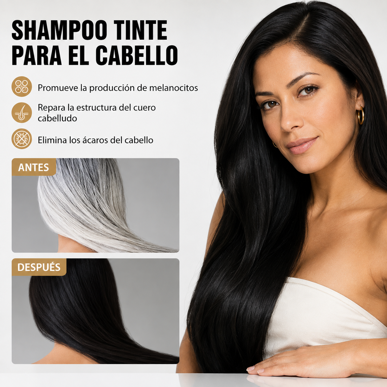 Champú de Tinte para Cabello