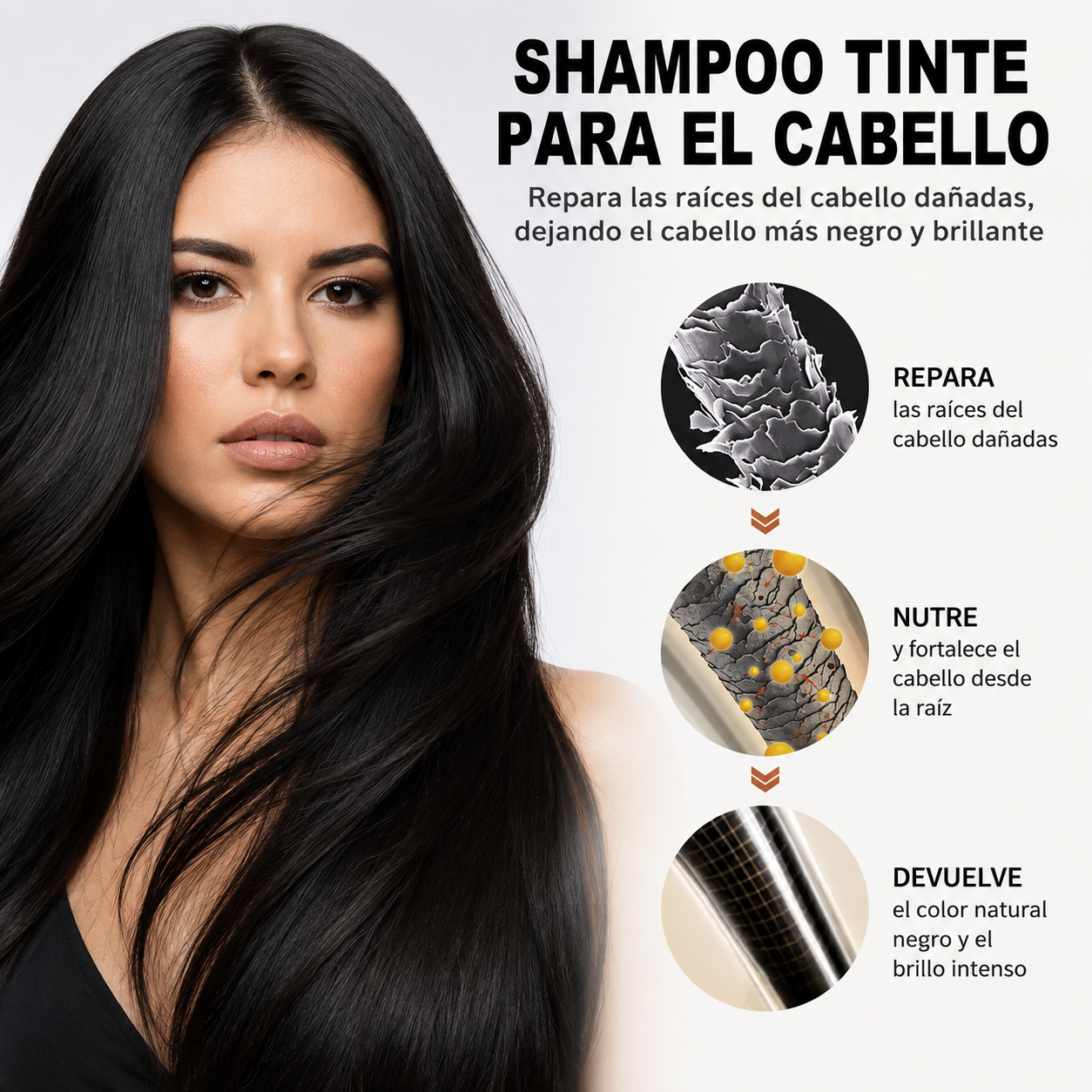 Champú de Tinte para Cabello