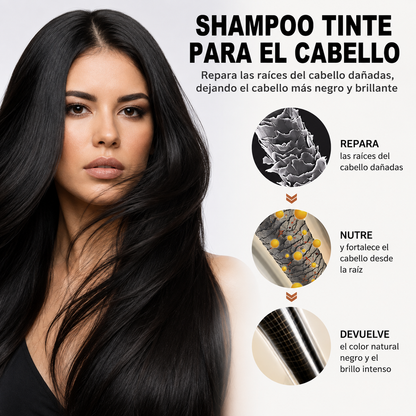 Champú de Tinte para Cabello