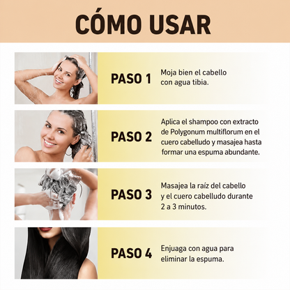 Champú de Tinte para Cabello
